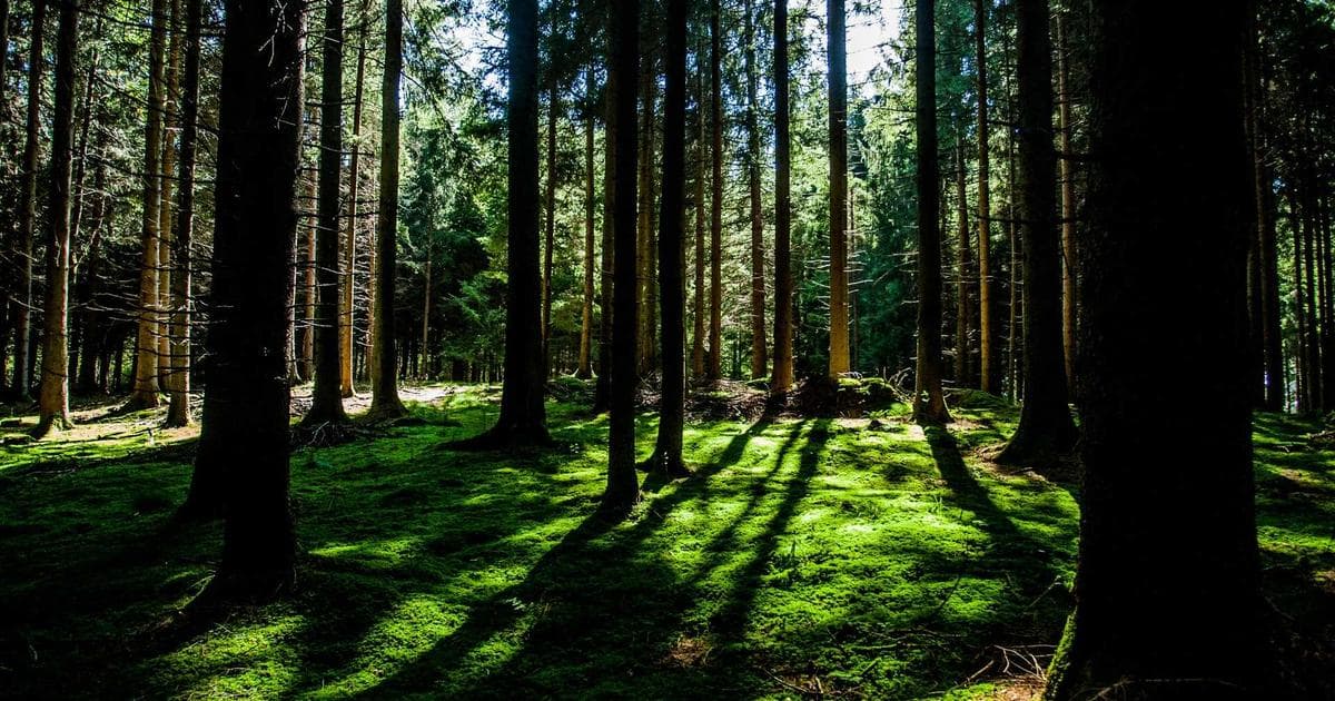 British Columbia mountain landscape representing BC PNP immigration opportunities
