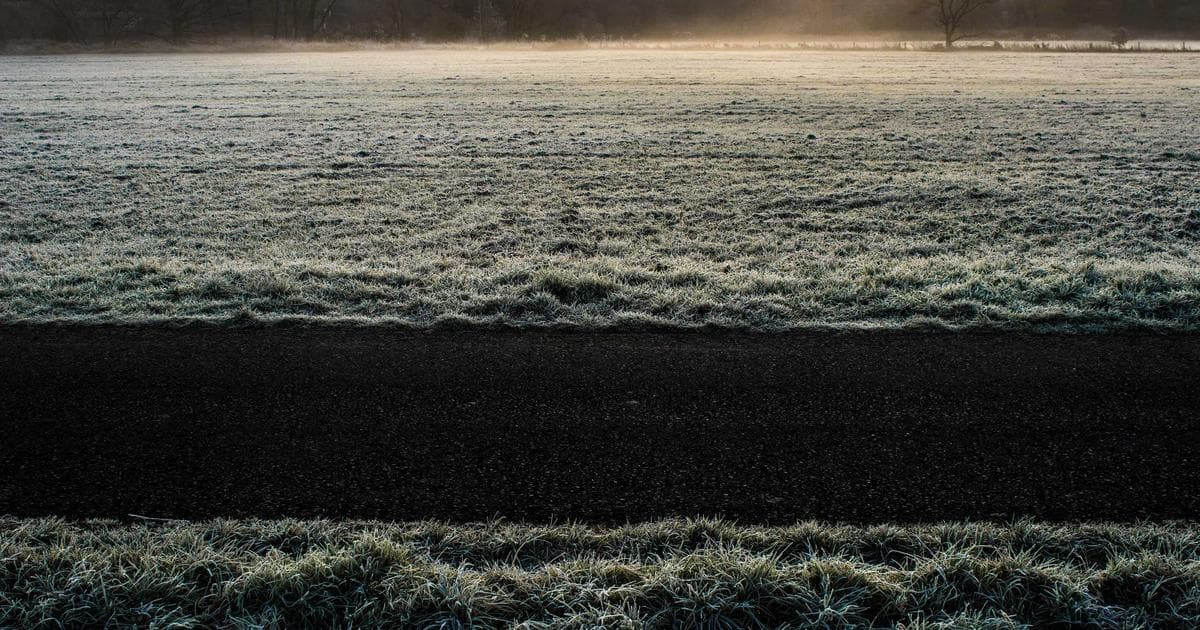 Diverse group, including Indigenous and newcomers, at an urban community center offering support services in Canada.