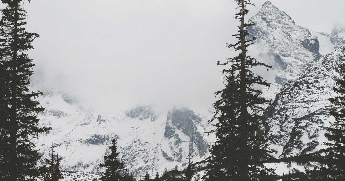 Newcomer thoughtfully reading about Canada's Residential School legacy, symbolizing truth, reconciliation, and education