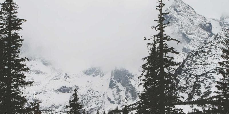 PhD graduates celebrating convocation at an Ontario university