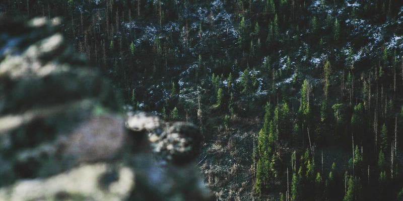 Co-op Work Terms and Internships on a Canadian Study Permit: Work Rights for International Students resources and support for newcomers in Canada