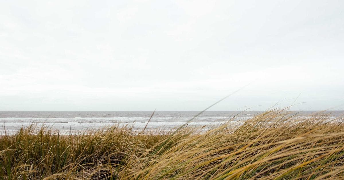 Newcomer learning a skilled trade through an apprenticeship program in Canada, guided by a mentor.