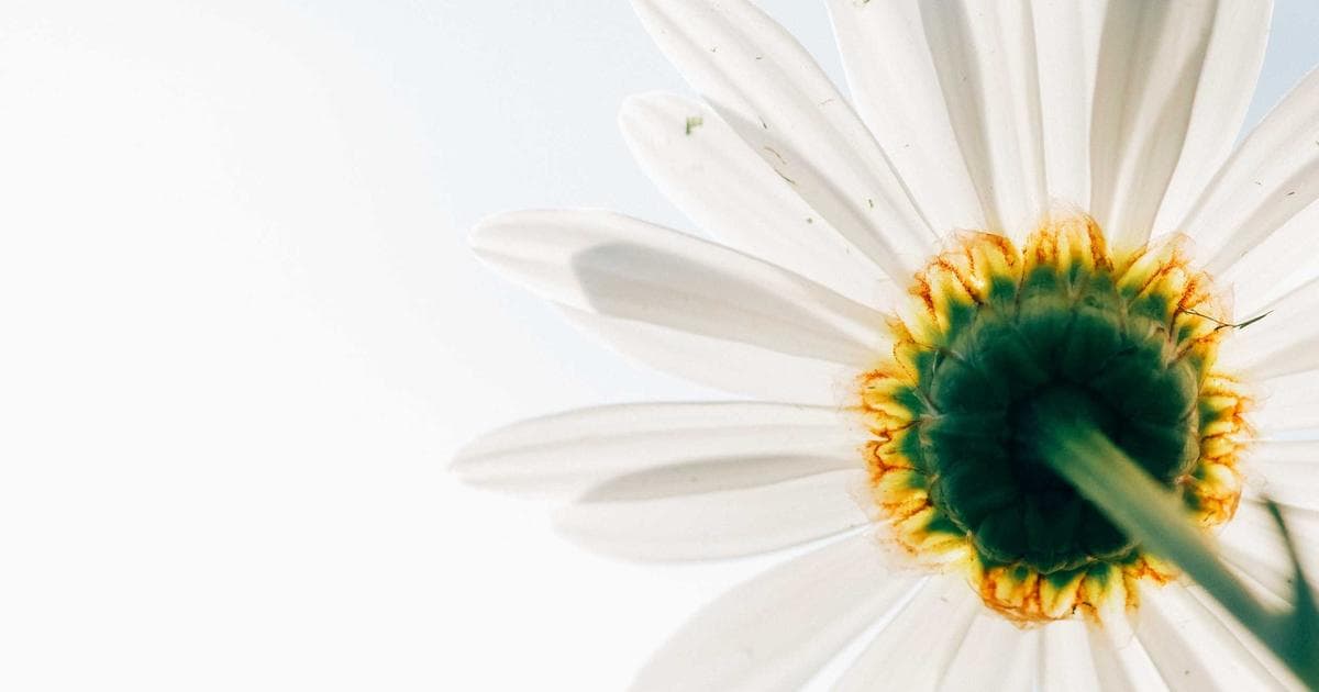 Diverse newcomers receiving free settlement services from an IRCC-funded agency in Canada.