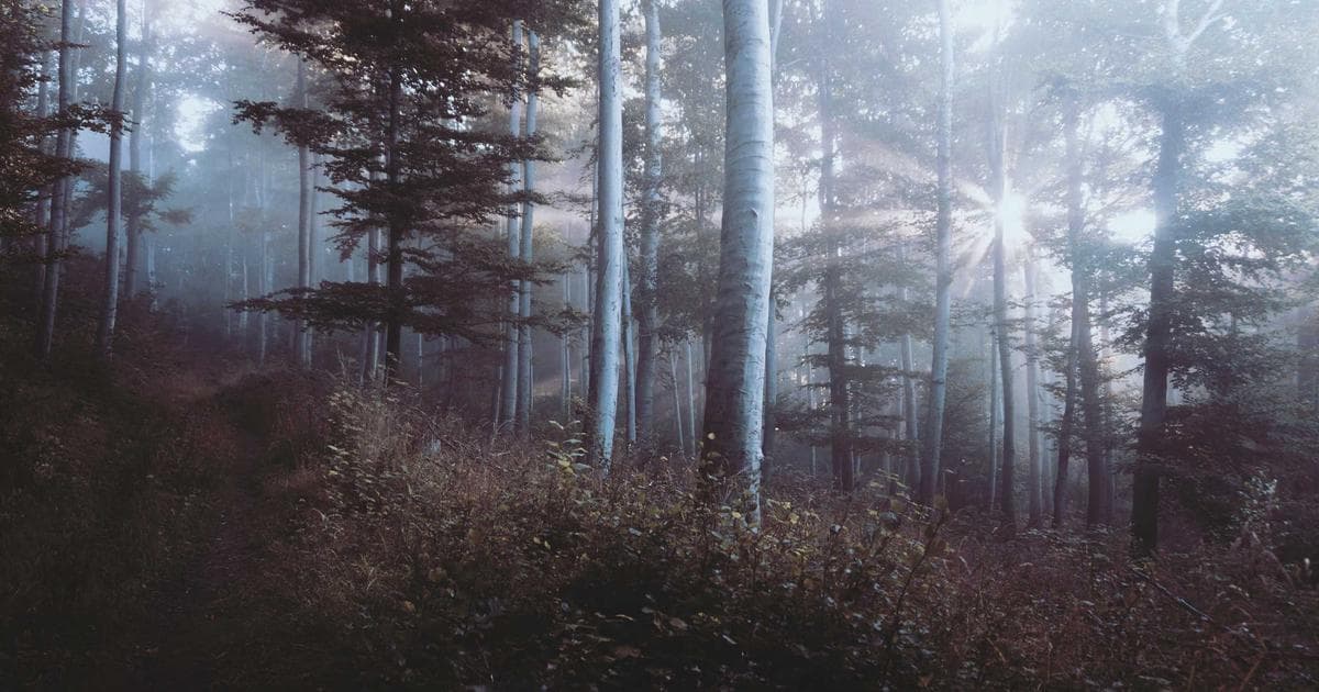 Manitoba workers in a modern workplace discussing projects at a whiteboard