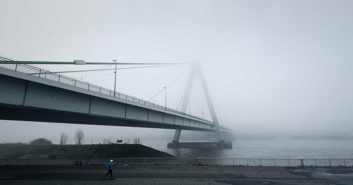Panoramic view of Halifax harbour with colourful buildings along the waterfront