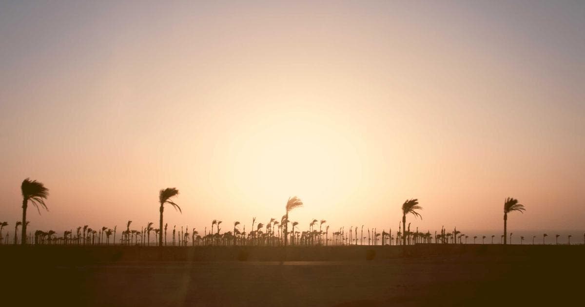 Hand holding a Canadian Permanent Resident (PR) card with application forms, ready for renewal.