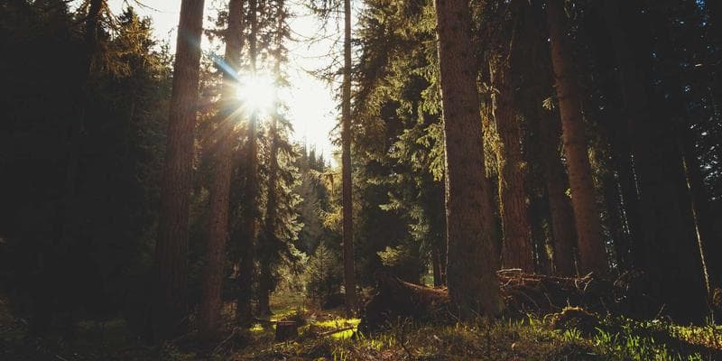 Professional shaking hands with an employer after a successful job interview