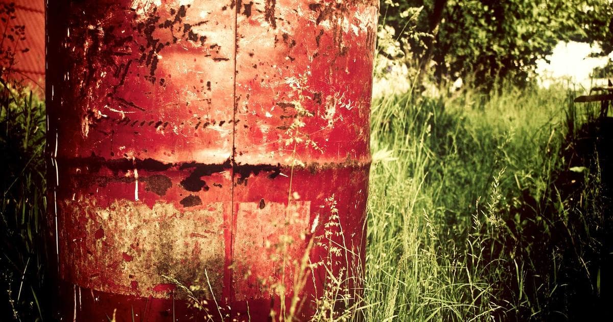 Newcomer proudly holding a new Canadian driver's license, with a map of provinces in the background.