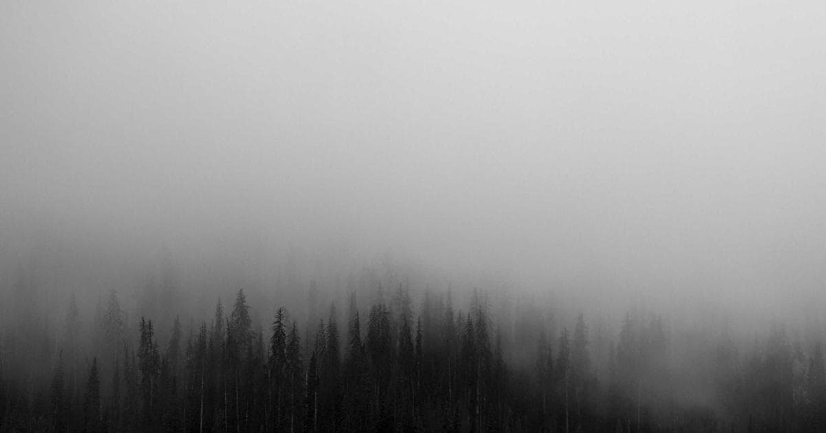 Newcomer looking stressed, receiving a helping hand, symbolizing emergency financial assistance in Canada.