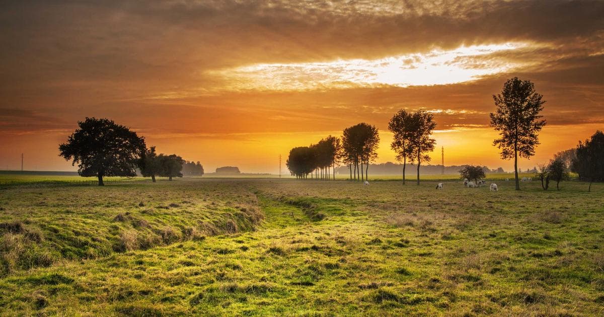 Newcomer receiving a box of groceries from a volunteer at a Canadian food bank program.