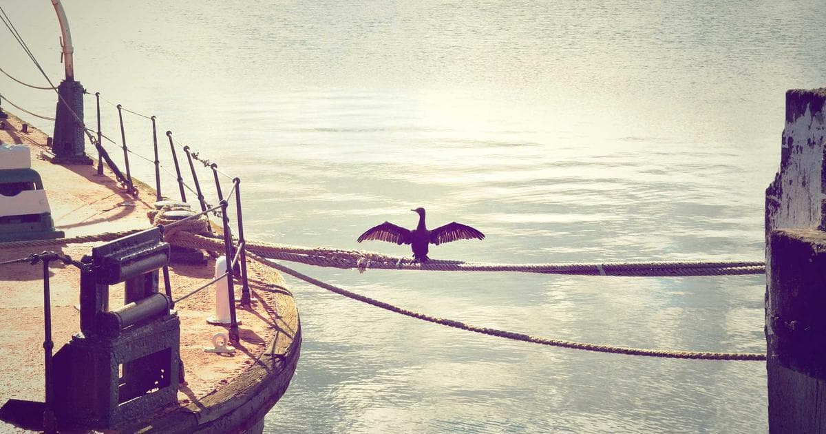 Happy diverse family embracing, symbolizing family reunification through Canadian sponsorship.