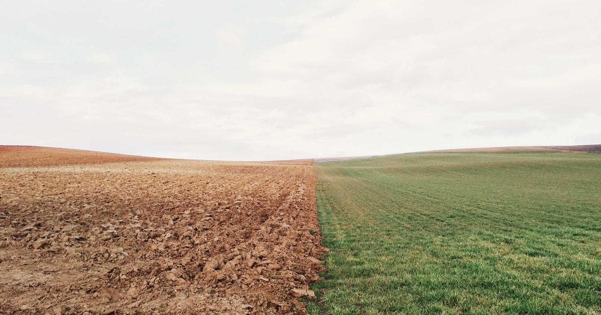 Scenic coastal village in Atlantic Canada with colorful houses along the waterfront