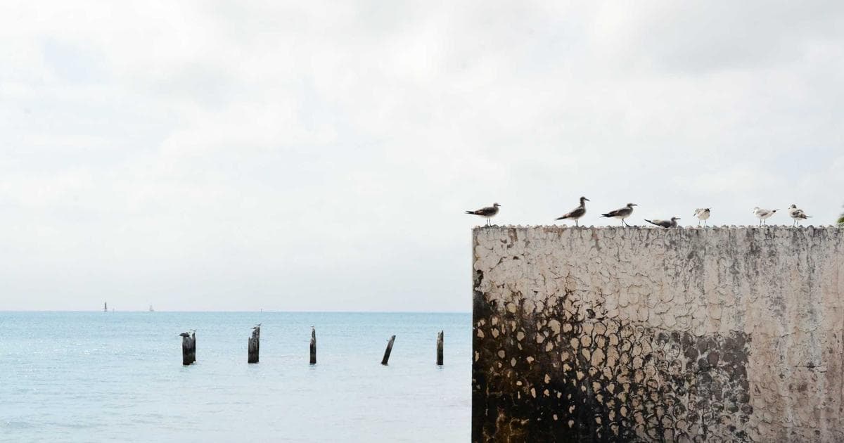 Professional office environment in Canada with diverse employees collaborating