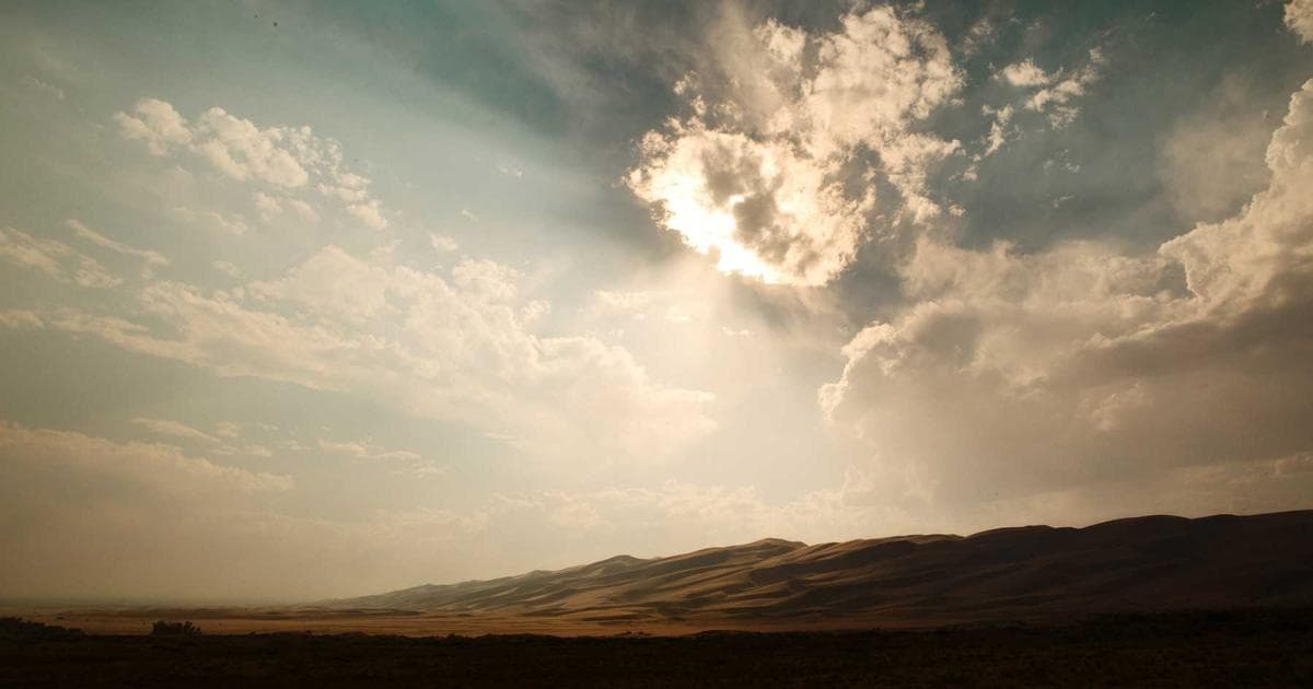 Workers in a food processing plant in Canada wearing safety gear and working together