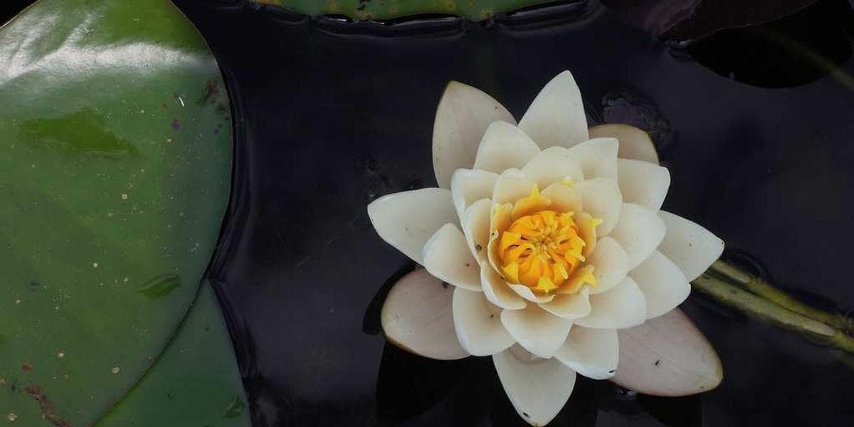 Edmonton Canada guide