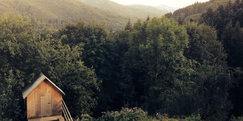 Fresh produce being sorted and packaged at a Canadian food processing facility