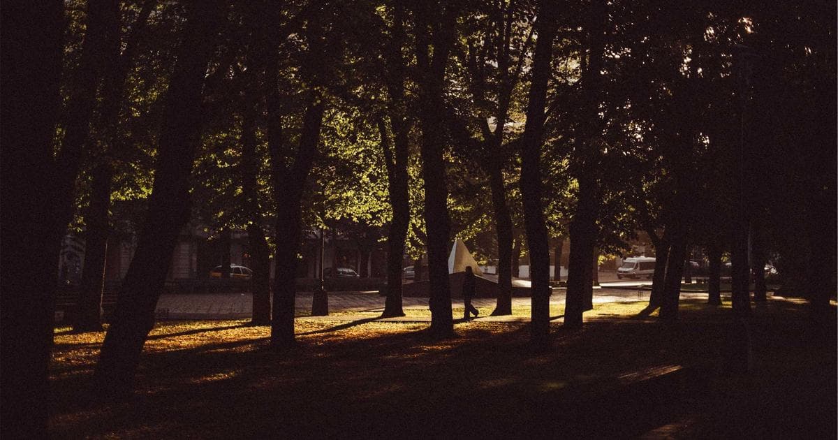 Caregiver reading a storybook to young children in a bright and cozy Canadian home