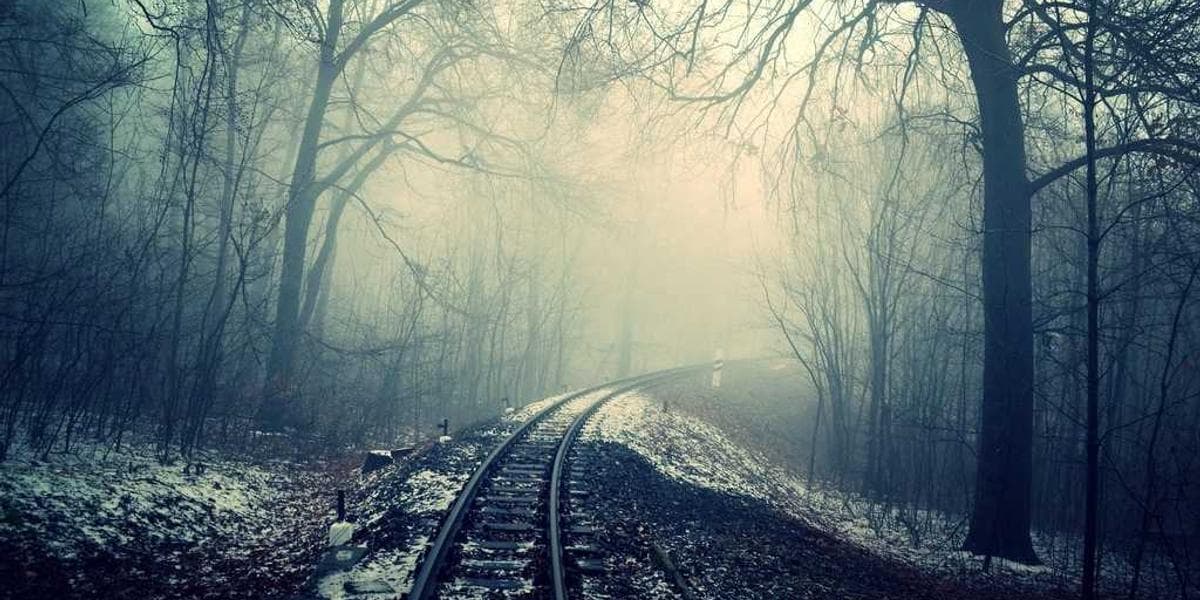 Canada newcomer settlement resources