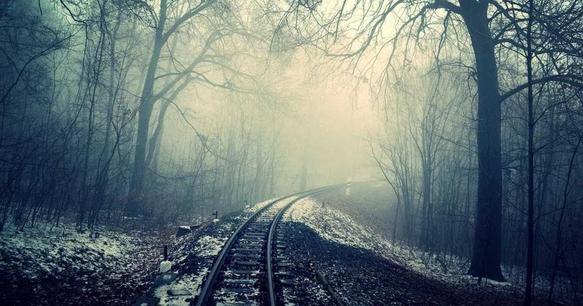 International workers entering Canada through the International Mobility Program