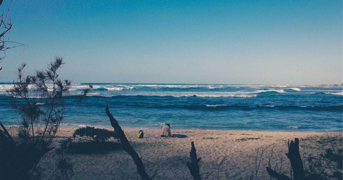 A family of refugees being welcomed at a Canadian settlement service office