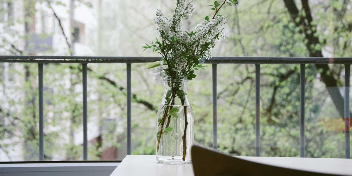 Diverse entrepreneurs collaborating, symbolizing the Canada Start-Up Visa Program for immigrant business owners.