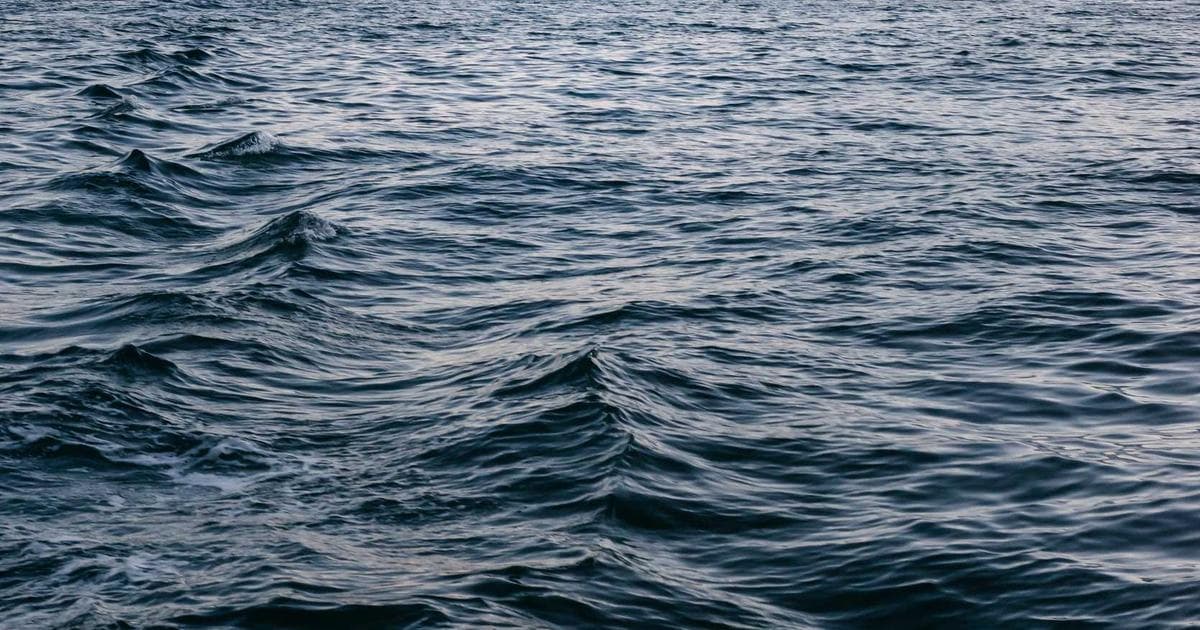 Canadian community members organizing a private refugee sponsorship event