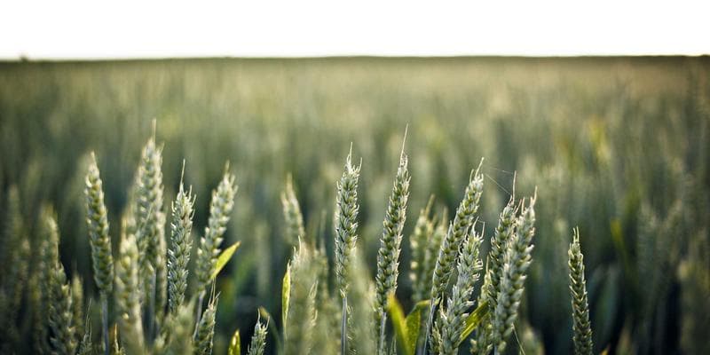 An airport arrivals hall with travelers walking through customs area