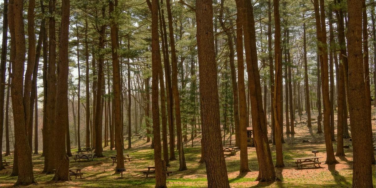 Canada newcomer settlement resources