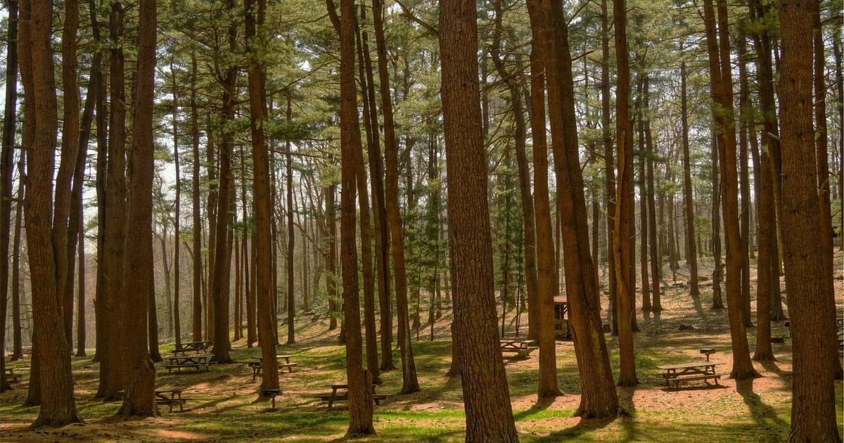 An elderly couple reviewing Super Visa application documents with their family in Canada