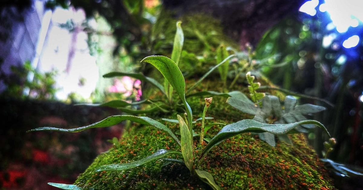 Diverse group of skilled professionals representing category-based Express Entry selection in Canada