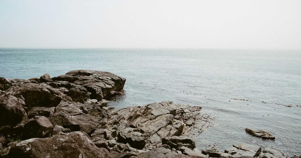 Quebec business and investment landscape representing the Investor Immigration Program