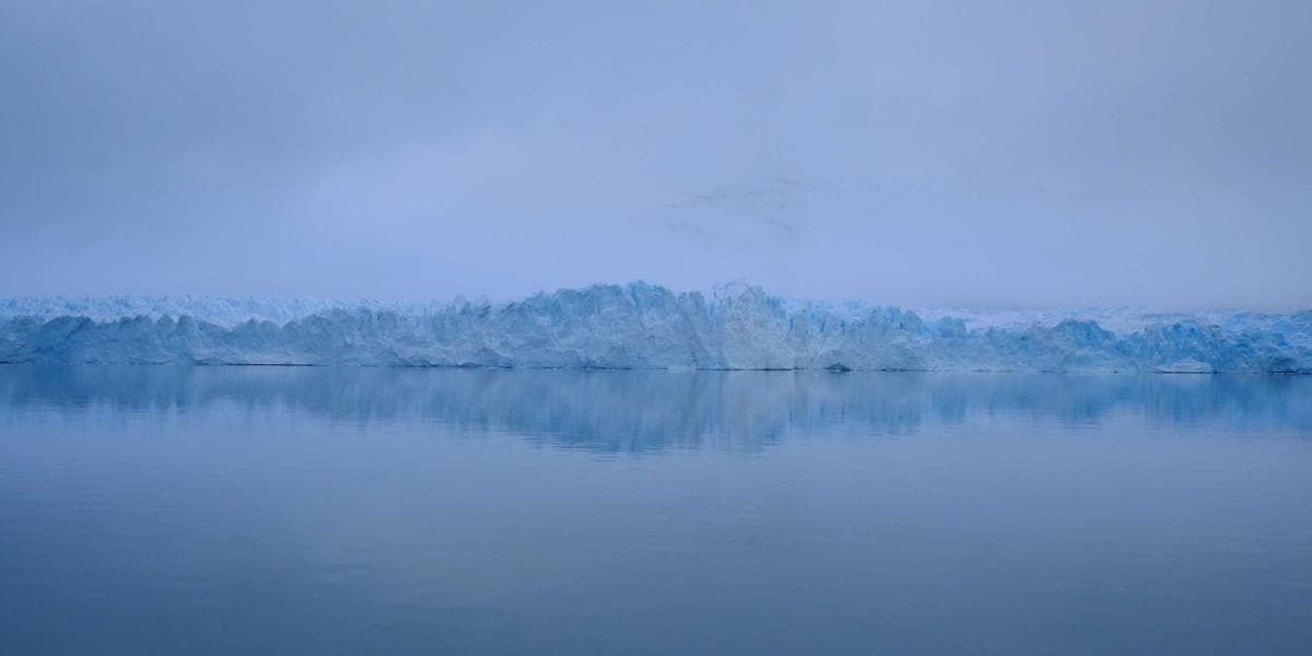 Canada newcomer settlement resources