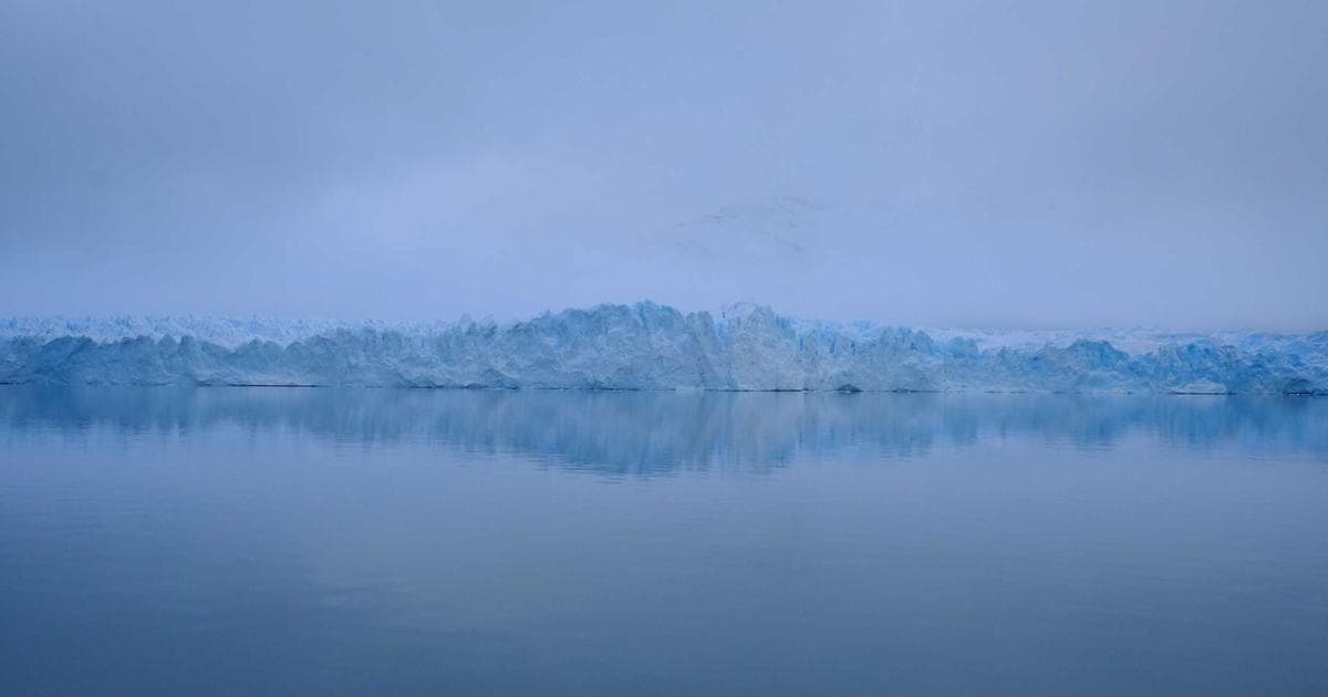 Canadian start-up ecosystem with entrepreneurs and innovation hub