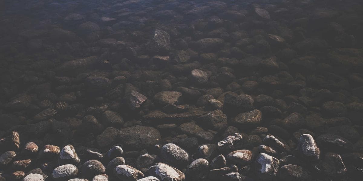 Person looking worried, searching for a lost or stolen Canadian PR Card, considering emergency travel options.