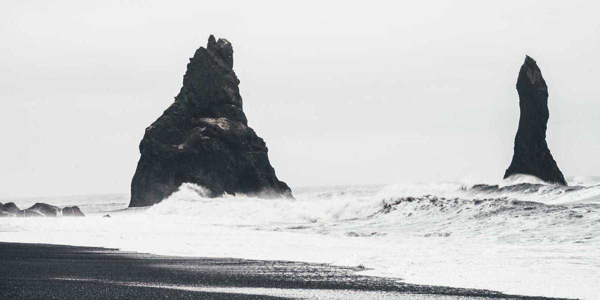 Canada newcomer settlement resources