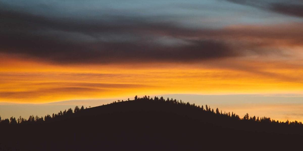 Canada newcomer settlement resources