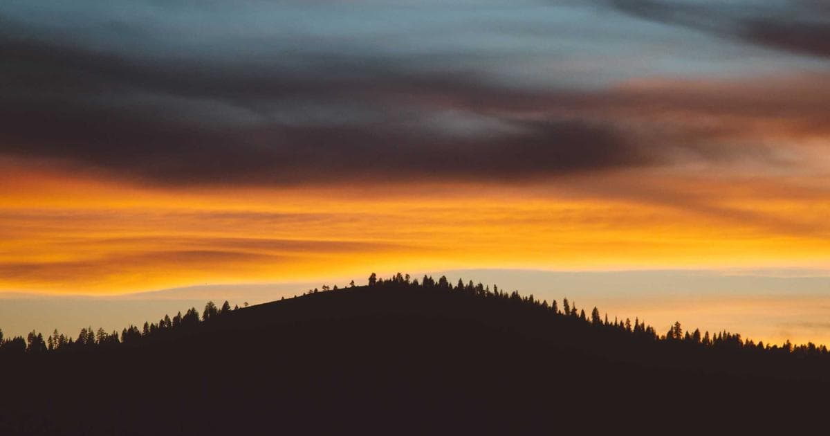 Financial documents and Canadian currency representing proof of funds for immigration