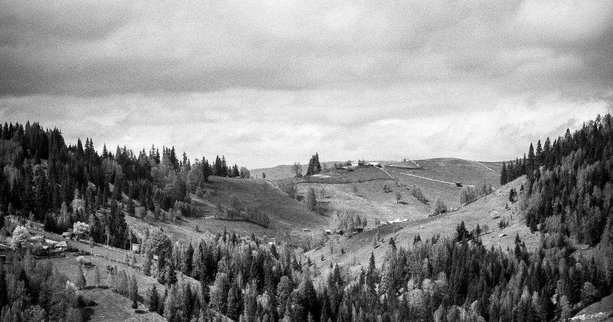 Diagram illustrating TEER categories in the Canadian NOC 2021 classification system