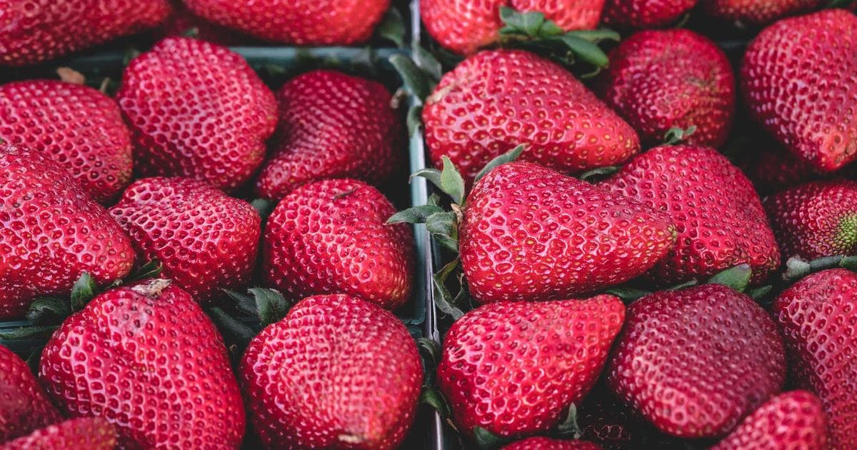 A warning sign concept showing a person protecting personal documents from potential fraud