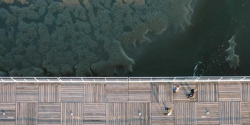 A person verifying information on the official Government of Canada website on a laptop