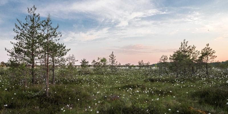 Immigration documents and a Canadian permanent residence card on a table