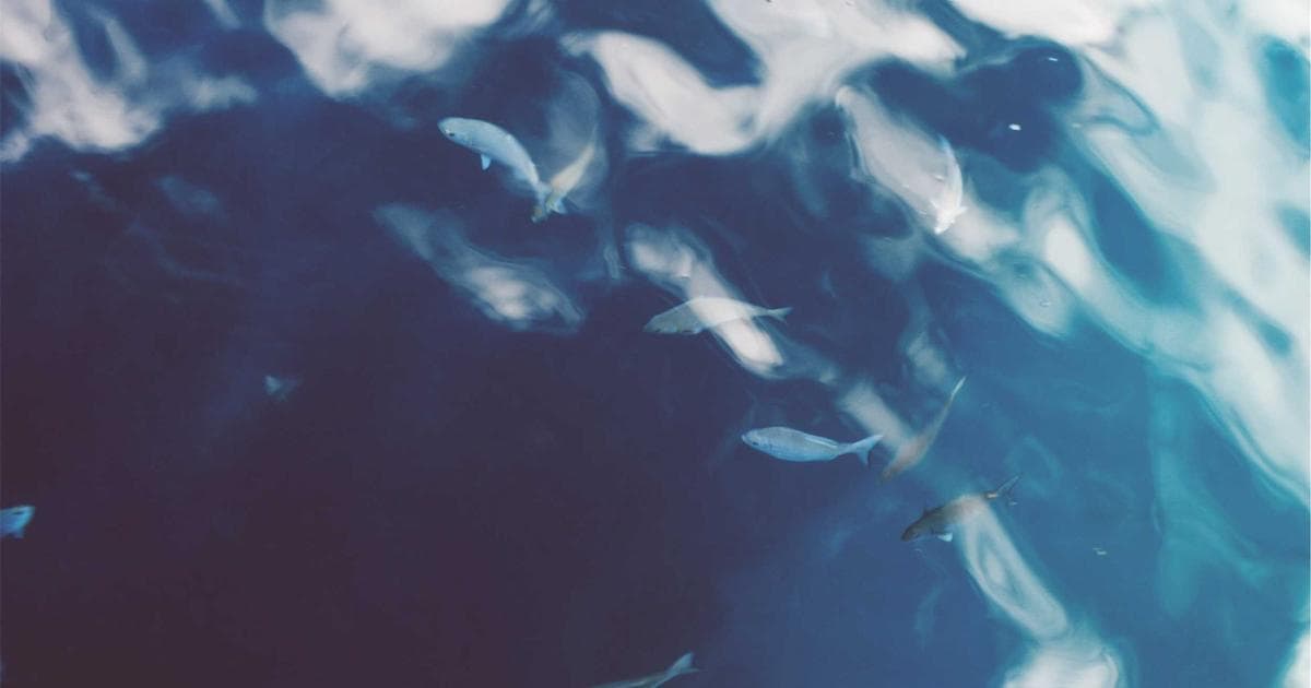 A Canadian permanent residence card placed next to a passport and travel documents