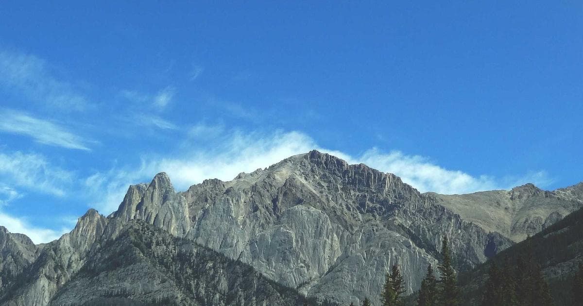 A traveler at an international airport check-in counter with luggage and travel documents