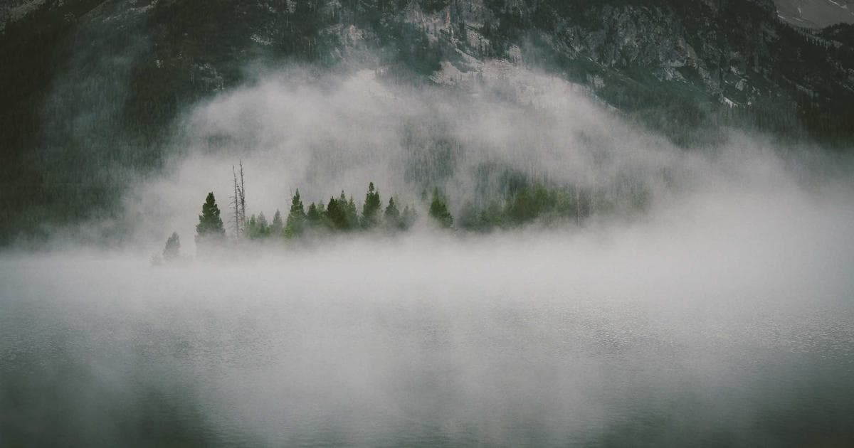 T4 tax slip and calculator on a desk for Canadian tax filing