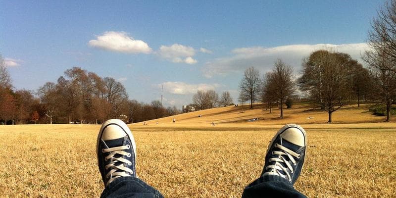 Newcomer filing Canadian tax return online using certified software