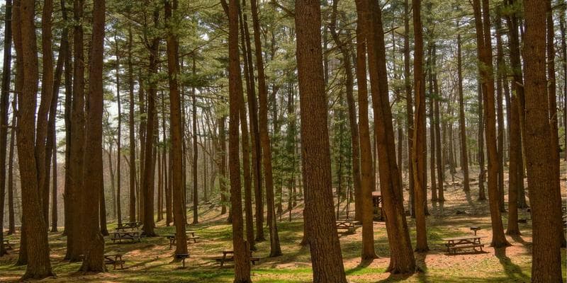 Chart showing TFSA contribution room growth over the years for newcomers