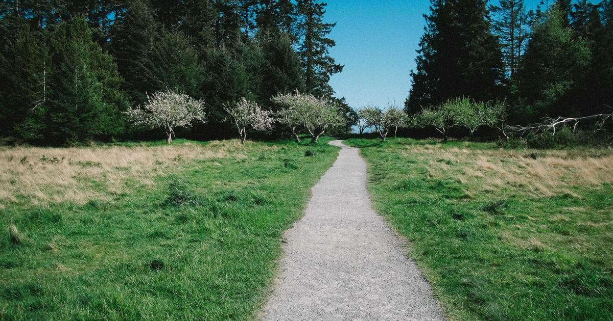 Express Entry CRS score calculator showing point breakdown for Canadian immigration