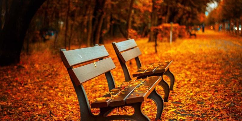 Illustration showing how SAFER rental subsidy is calculated based on income and rent in British Columbia