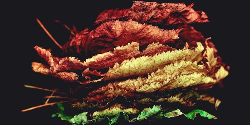 Completed TD1 form with highlighted key sections and calculations