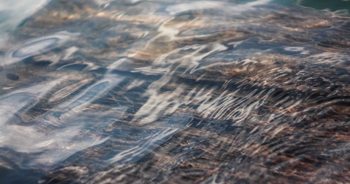 CRA My Account registration and dashboard interface for Canadian newcomers